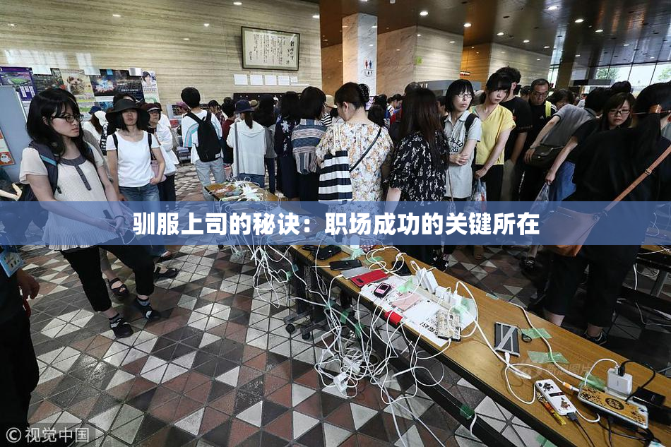 驯服上司的秘诀：职场成功的关键所在