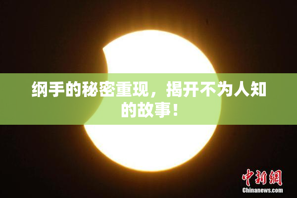 纲手的秘密重现，揭开不为人知的故事！