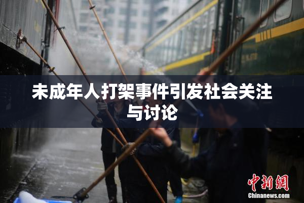 未成年人打架事件引发社会关注与讨论