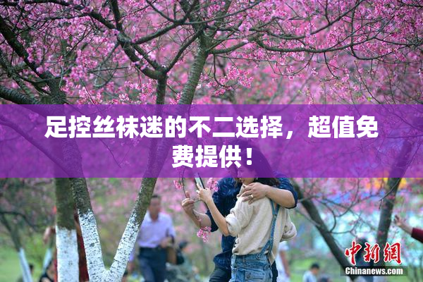 足控丝袜迷的不二选择，超值免费提供！