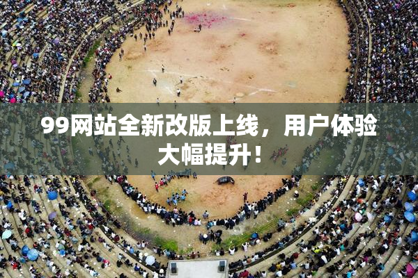 99网站全新改版上线，用户体验大幅提升！