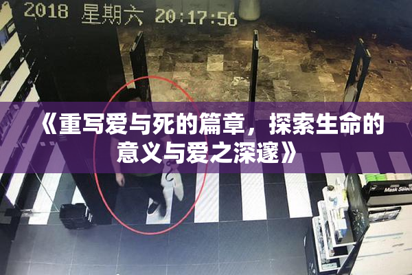 《重写爱与死的篇章，探索生命的意义与爱之深邃》