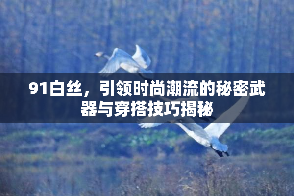 91白丝，引领时尚潮流的秘密武器与穿搭技巧揭秘