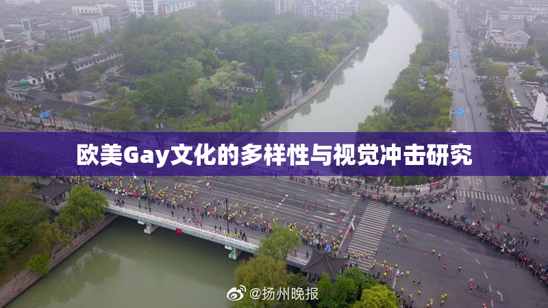 欧美Gay文化的多样性与视觉冲击研究