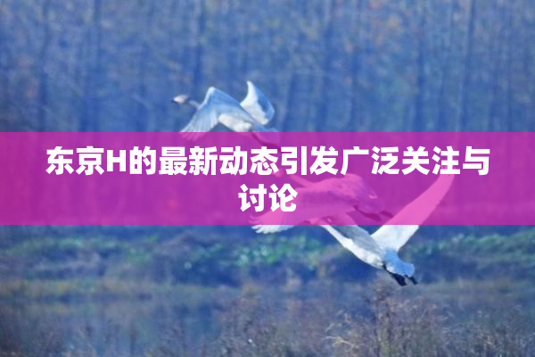 东京H的最新动态引发广泛关注与讨论