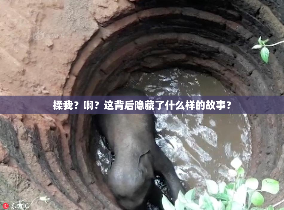 揉我？啊？这背后隐藏了什么样的故事？