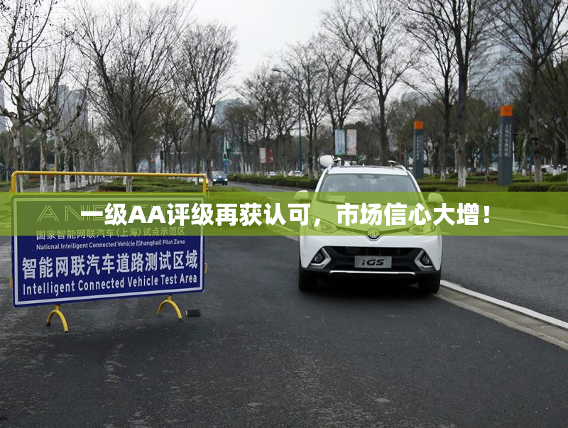 一级AA评级再获认可，市场信心大增！