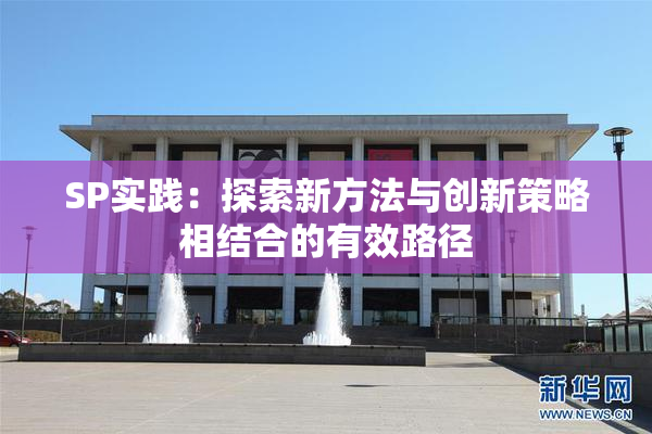 SP实践：探索新方法与创新策略相结合的有效路径