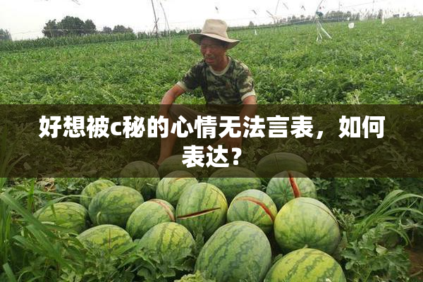 好想被c秘的心情无法言表，如何表达？