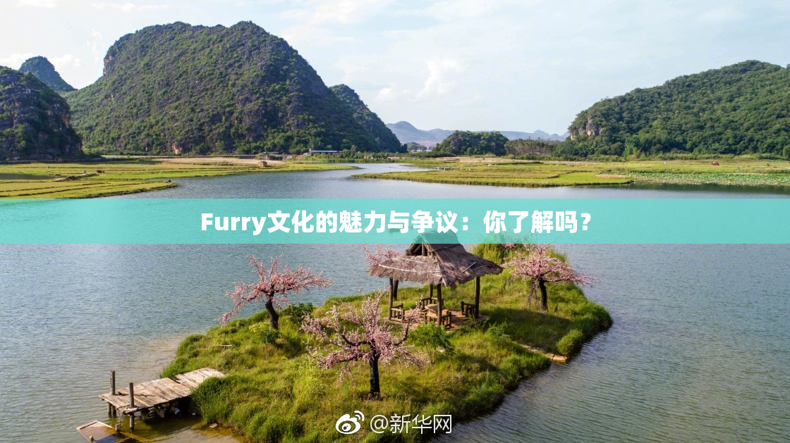Furry文化的魅力与争议：你了解吗？