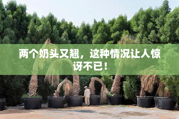 两个奶头又翘，这种情况让人惊讶不已！