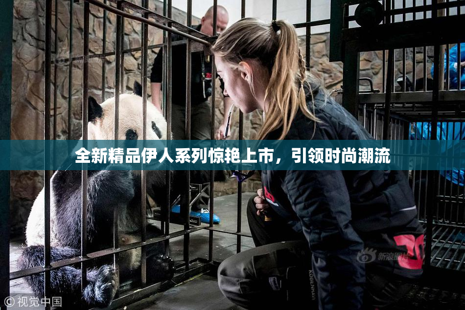 全新精品伊人系列惊艳上市，引领时尚潮流