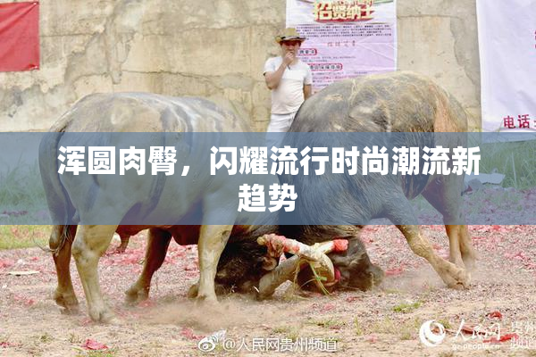 浑圆肉臀，闪耀流行时尚潮流新趋势