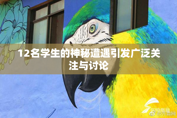 12名学生的神秘遭遇引发广泛关注与讨论