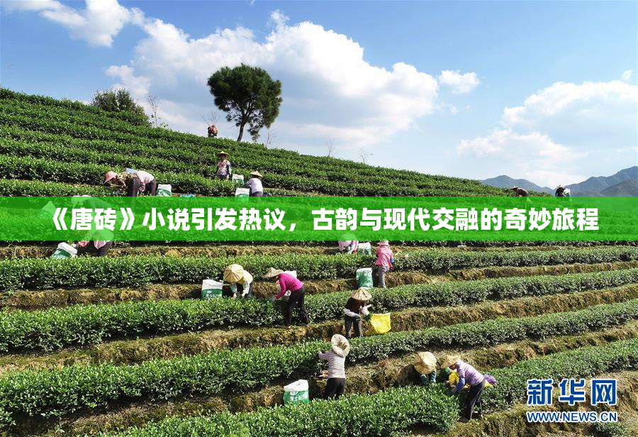 《唐砖》小说引发热议，古韵与现代交融的奇妙旅程