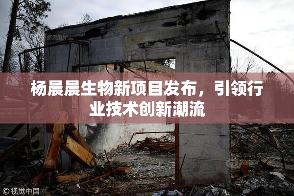杨晨晨生物新项目发布，引领行业技术创新潮流