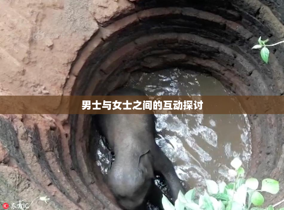 男士与女士之间的互动探讨