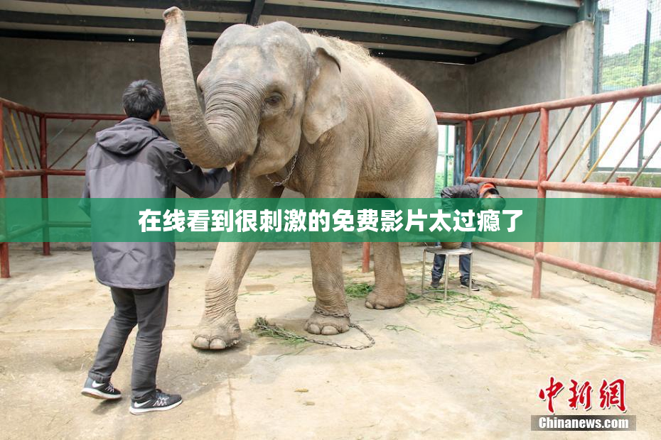 在线看到很刺激的免费影片太过瘾了