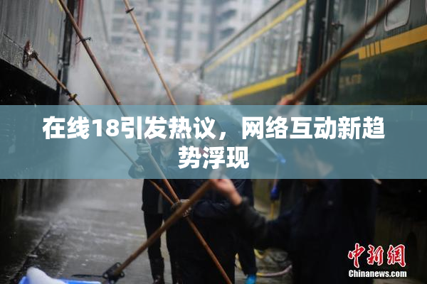 在线18引发热议，网络互动新趋势浮现