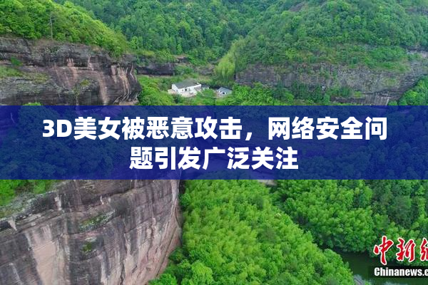 3D美女被恶意攻击，网络安全问题引发广泛关注