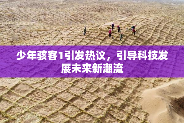 少年骇客1引发热议，引导科技发展未来新潮流