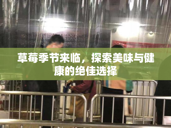 草莓季节来临，探索美味与健康的绝佳选择