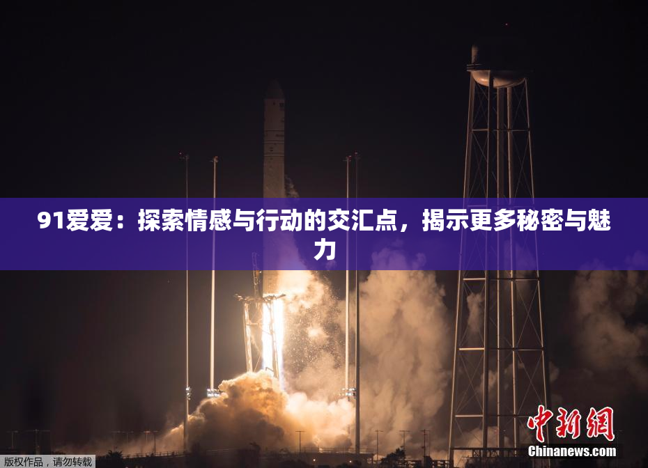 91爱爱：探索情感与行动的交汇点，揭示更多秘密与魅力