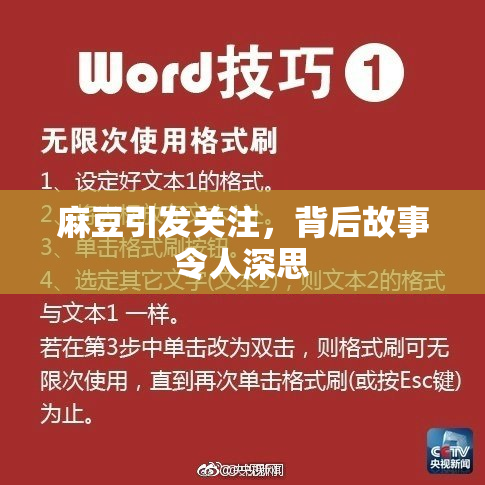 麻豆引发关注，背后故事令人深思