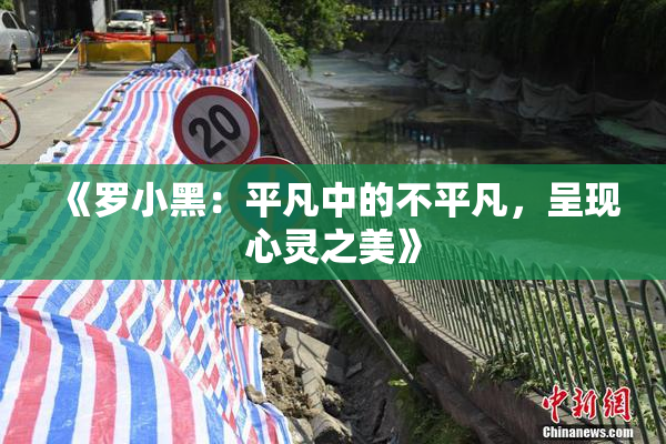 《罗小黑：平凡中的不平凡，呈现心灵之美》