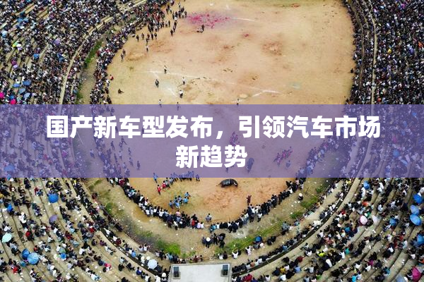 国产新车型发布，引领汽车市场新趋势