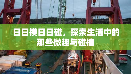 日日摸日日碰，探索生活中的那些微趣与碰撞