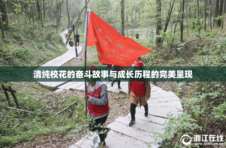 清纯校花的奋斗故事与成长历程的完美呈现
