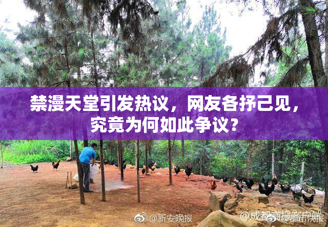 禁漫天堂引发热议，网友各抒己见，究竟为何如此争议？