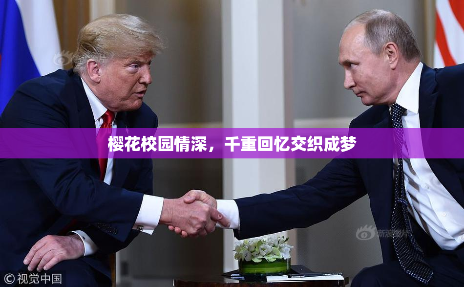 樱花校园情深，千重回忆交织成梦