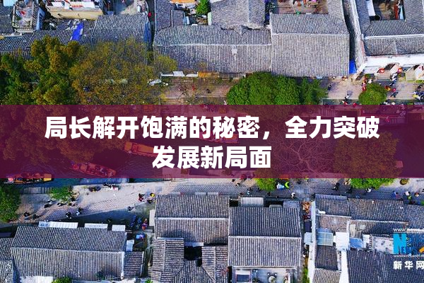 局长解开饱满的秘密，全力突破发展新局面