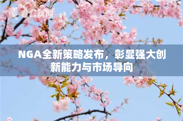 NGA全新策略发布，彰显强大创新能力与市场导向