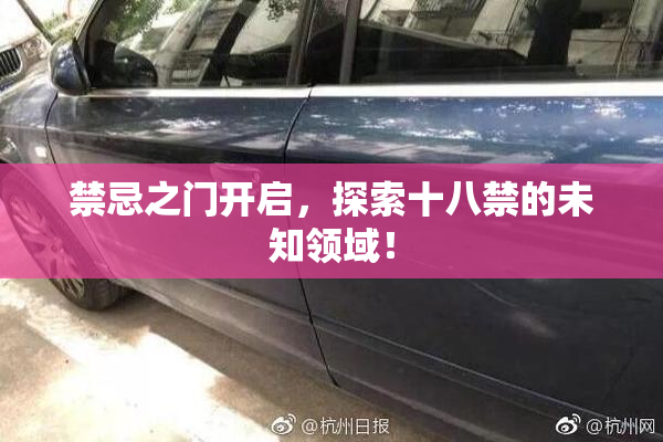 禁忌之门开启，探索十八禁的未知领域！