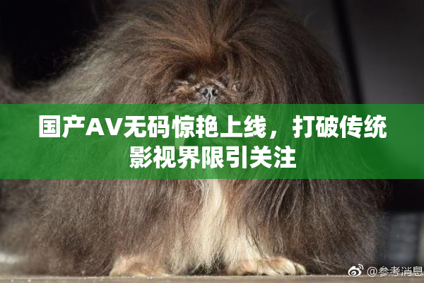 国产AV无码惊艳上线，打破传统影视界限引关注