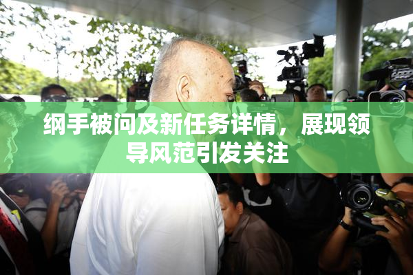 纲手被问及新任务详情，展现领导风范引发关注