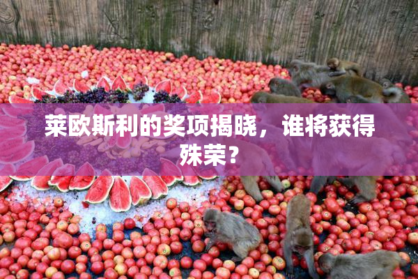 莱欧斯利的奖项揭晓，谁将获得殊荣？