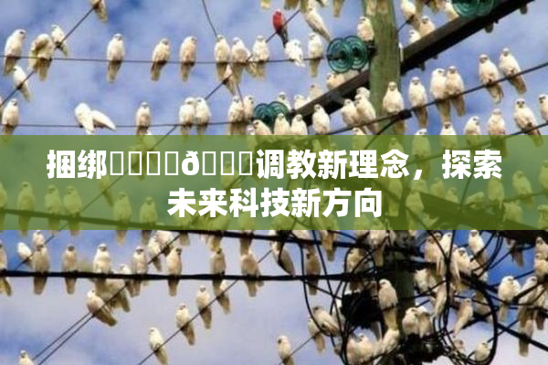 捆绑❌‌❌‌🔞调教新理念，探索未来科技新方向