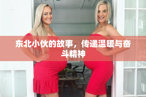 东北小伙的故事，传递温暖与奋斗精神