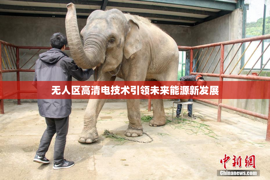 无人区高清电技术引领未来能源新发展