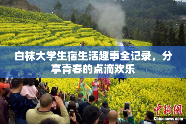 白袜大学生宿生活趣事全记录，分享青春的点滴欢乐
