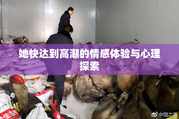 她快达到高潮的情感体验与心理探索