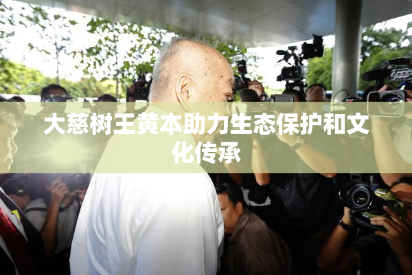 大慈树王黄本助力生态保护和文化传承