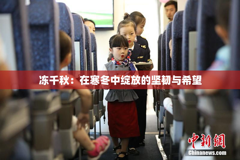 冻千秋：在寒冬中绽放的坚韧与希望