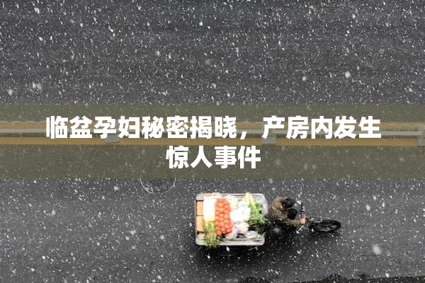 临盆孕妇秘密揭晓，产房内发生惊人事件