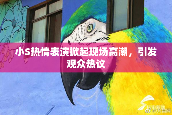 小S热情表演掀起现场高潮，引发观众热议