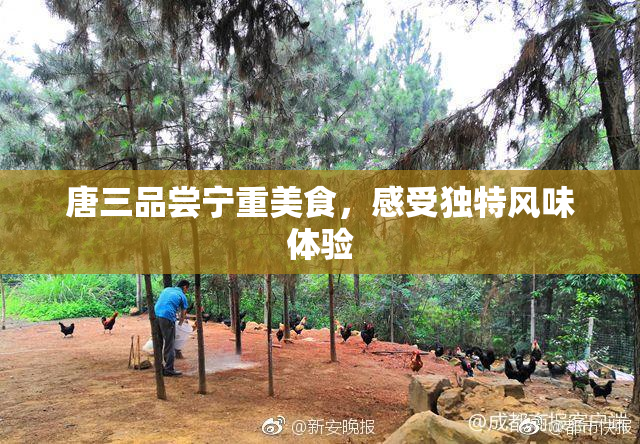 唐三品尝宁重美食，感受独特风味体验
